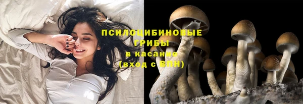 герыч Арсеньев