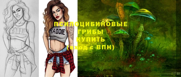 крисы Армянск